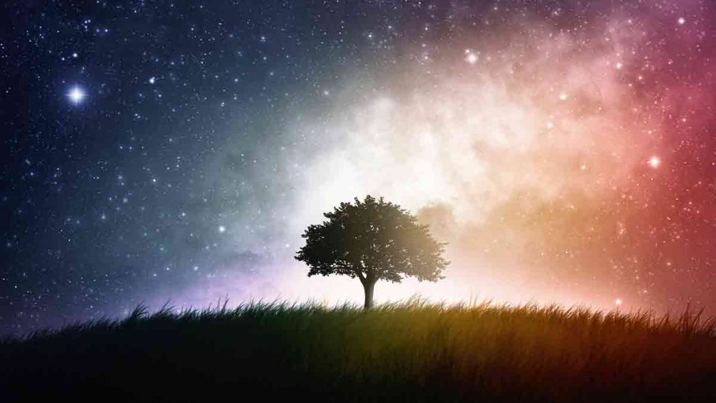 image of tree with milky way in the background